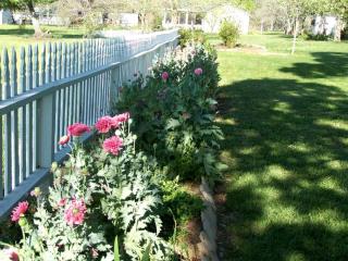 Romantic Room Rental in Lovely Bed and Breakfast near Bellville, Texas - 5