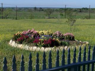 Romantic Room Rental in Lovely Bed and Breakfast near Bellville, Texas - 3