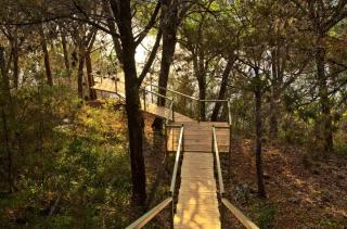 Inviting Cabin near Marble Falls with Lake Access - 6