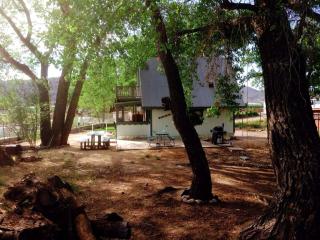 Fantastic Cabin for 10 Guests near Fly Fishing Destinations in Navajo Dam, New Mexico - 3