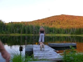 Beautiful Secluded Tiny House for a Quiet Peaceful Getaway Surrounded by Nature in Cabot, Vermont - 7