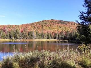 Beautiful Secluded Tiny House for a Quiet Peaceful Getaway Surrounded by Nature in Cabot, Vermont - 1
