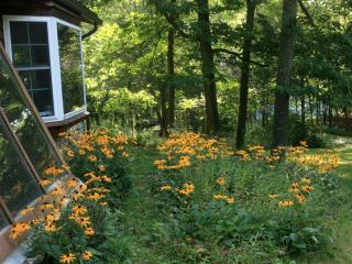 Scenic Cabin Retreat Perfect for Groups near Caledonia, Minnesota - 6