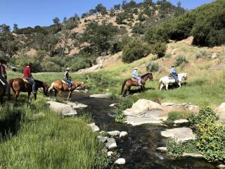 Cabin Rental with a Swimming Pool in the Tehachapi Mountains, California - 1