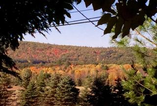 Peacefully Secluded and Private Suite near Keene, New Hampshire - 1