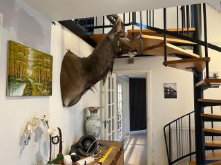 Yggdrasil Country Retreat - 20 min from Aalborg - 5