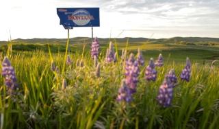 Luxury Lodge for Fishing Vacation with Professional Guides at Bighorn River, Montana - 2