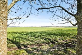 Yggdrasil Country Retreat - 20 min from Aalborg - 5