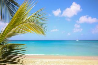 Amazing Beachfront Paradise - Chateau Monique - 5