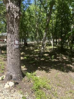 Lakeside Glamping Bell Tent Retreat on Tuttle Creek Lake in Kansas, Perfect for a Weekend of Swimming and Fishing - 3