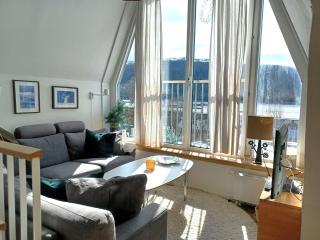 Central Stay with Lake View & Sauna - 6