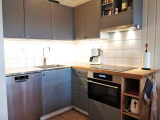 Central Pet-Friendly Flat with Sauna - 2