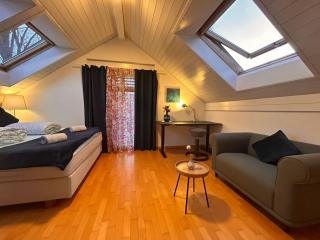 Family room in a House in Allschwil, Basel - 9