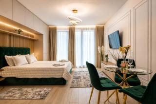 Cozy Executive Studio Herastrau - 8