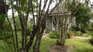Bed and Breakfast Guest Cottage for Two near Bellville, Texas - 4