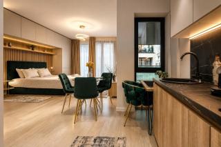 Cozy Executive Studio Herastrau - 4
