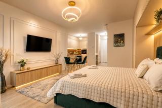 Cozy Executive Studio Herastrau - 3
