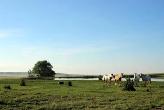 Rustic Camping Rental on a Working Ranch in Northern Colorado - 1