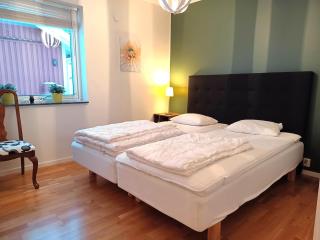 Ski-In Apartment for 8 with Sauna - 5