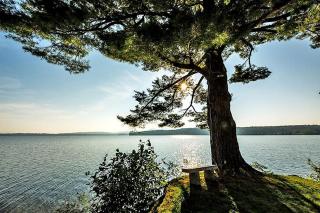 Delightful Lake House Rental near Gilford, New Hampshire - 6