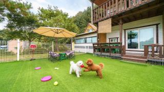 Hongcheon byeolkaem kidspulbilla - 3