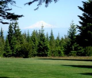 Camping Cabins with Wi-Fi in Mt. Hood, Oregon - 9