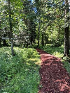 Secluded Studio Cabin with Private Lakefront near Park Rapids, Minnesota - 5