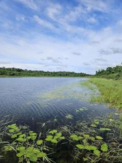 Secluded Studio Cabin with Private Lakefront near Park Rapids, Minnesota - 4