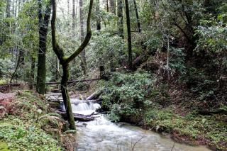 Rural Ranch Vacation Rental near Sequoia National Forest, California - 3