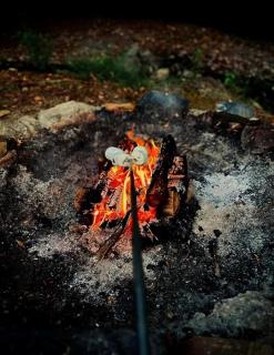 Creekside Cabin Retreat with Hot Tub & Fire Pit in Caddo Gap, Arkansas - 1