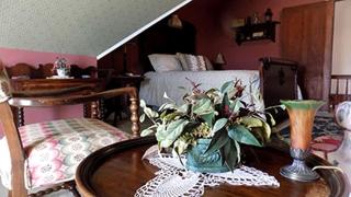 Cozy Romantic Accommodation in Bed and Breakfast near Bellville, Texas - 7