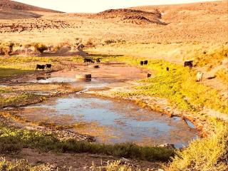 Secluded Getaway on a Remote Ranch near Black Rock Desert in Nevada - 3