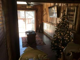 Gorgeous Rustic Log Cabin Rental with Fire Pit in Cotter, Arkansas - 8