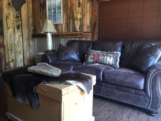 Gorgeous Rustic Log Cabin Rental with Fire Pit in Cotter, Arkansas - 2