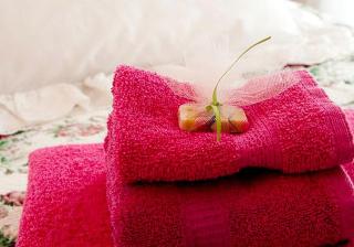 Lovely Bed and Breakfast Accommodation for Two People near Billings, Montana - 8