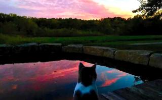 Romantic Getaway Surrounded by Gardens and Woodland Trails near Overland Park, Kansas - 6