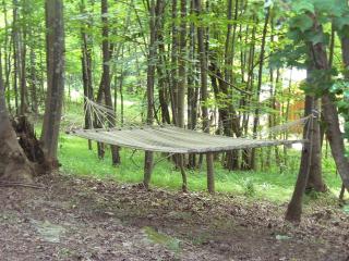 Tented Cabin Rental Along Brushy Mountains in Moravian Falls, North Carolina - 2