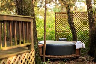 Romantic Rental with Ensuite Jacuzzi on Working Ranch and B&B near Houston, Texas - 2