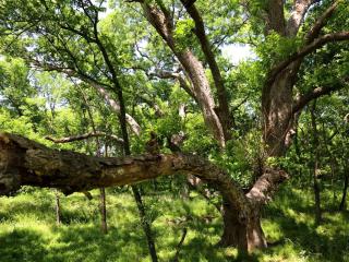 Tranquil Getaway near the Shores of Lake Tawakoni in Hunt County, Texas - 7