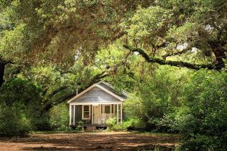 Inviting Bungalow with Vintage Details on Working Ranch and B&B near Houston, Texas - 0