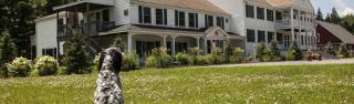 Family-Friendly Accommodation near Ski Slopes in West Dover, Vermont - 1
