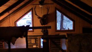 Deluxe Riverfront Cabin Rental near Taos Ski Valley in Questa, New Mexico - 2