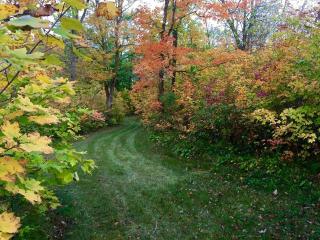 Rustic Weekend Getaway near Itasca State Park in Callaway, Minnesota - 2