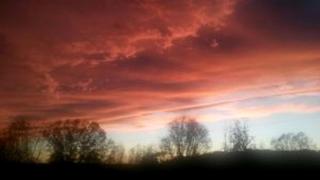 Rustic Vacation Rental with Breakfast Included near Clarksville, Tennessee - 6