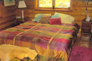 Private Suite Rental for a Secluded Getaway in the Humboldt-Toiyabe Forest, Nevada - 4
