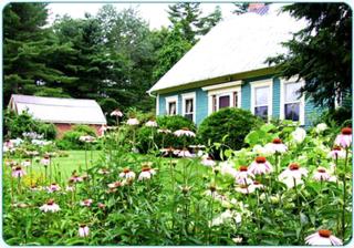 Pet-Friendly Accommodation on a 50-Acre Property near the Lakes Region of Maine - 0