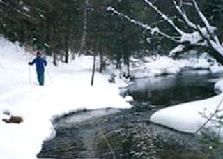 Pet-Friendly Accommodation on a 50-Acre Property near the Lakes Region of Maine - 1