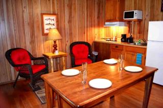 Comfortable Vacation Rental with River Access near Greers Ferry Lake in Arkansas - 4
