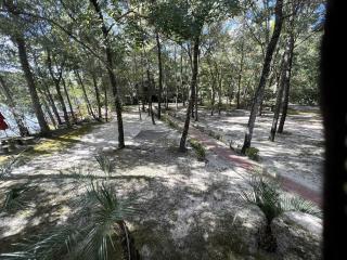 Picturesque Riverfront Cottage with Historic River Views near Ponce de Leon, Florida - 1