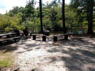 Peaceful Riverfront Manufactured Home with Fireplace on the Great Satilla River near Woodbine, Georgia - 6